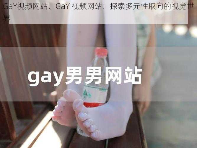 GaY视频网站、GaY 视频网站：探索多元性取向的视觉世界