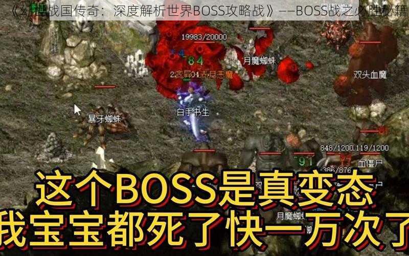 《幻世战国传奇：深度解析世界BOSS攻略战》——BOSS战之必胜秘籍