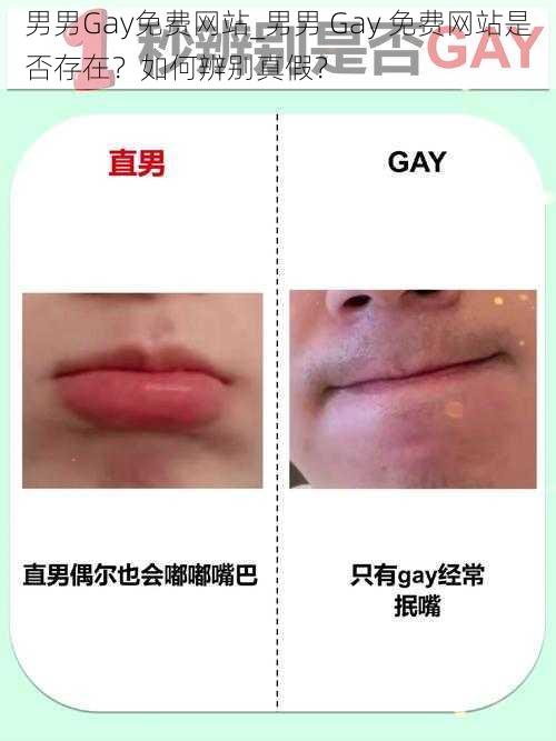 男男Gay免费网站_男男 Gay 免费网站是否存在？如何辨别真假？