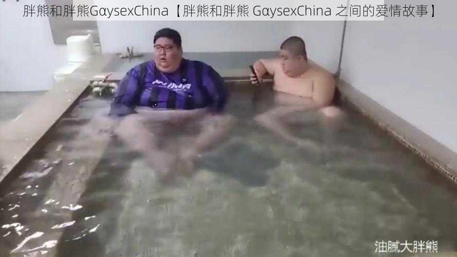 胖熊和胖熊GαysexChina【胖熊和胖熊 GαysexChina 之间的爱情故事】