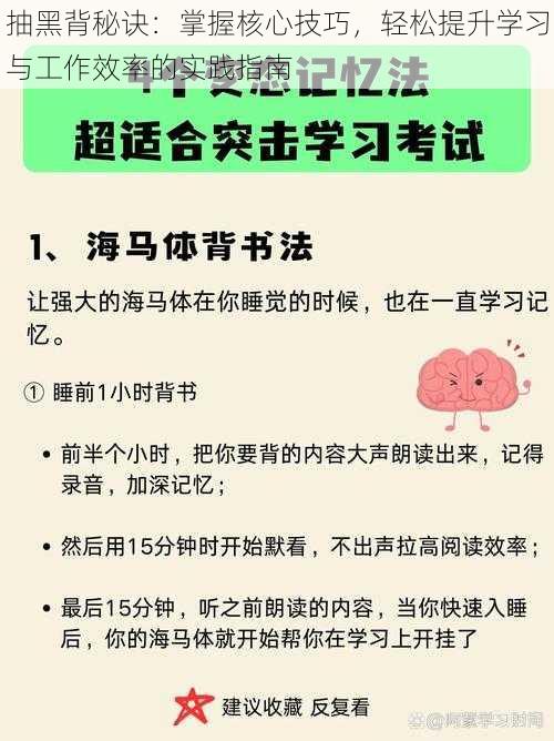 抽黑背秘诀：掌握核心技巧，轻松提升学习与工作效率的实践指南