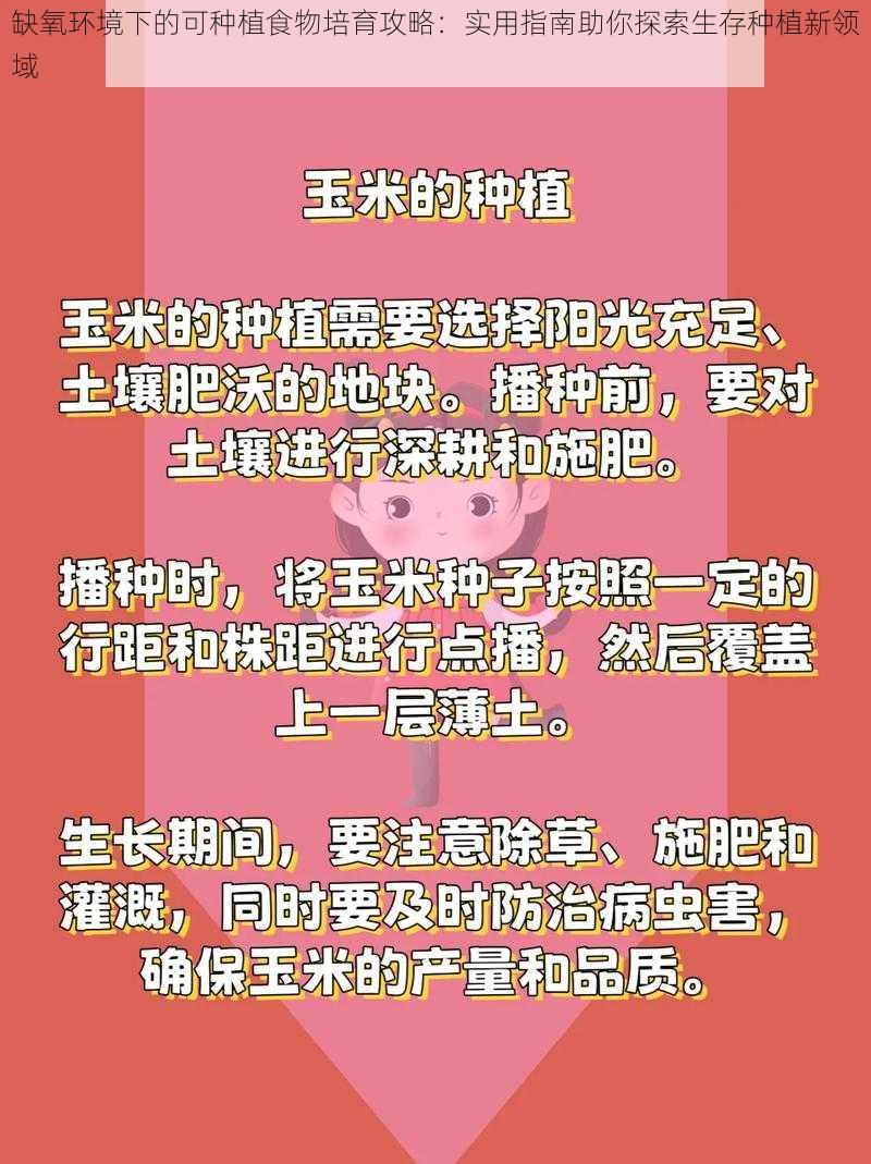 缺氧环境下的可种植食物培育攻略：实用指南助你探索生存种植新领域