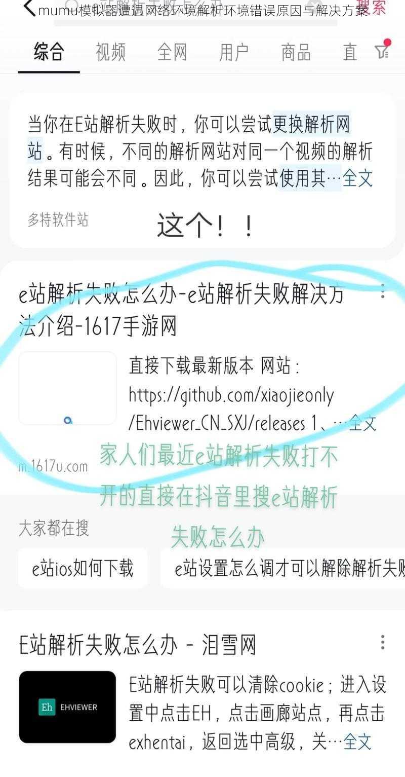 mumu模拟器遭遇网络环境解析环境错误原因与解决方案