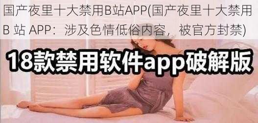 国产夜里十大禁用B站APP(国产夜里十大禁用 B 站 APP：涉及色情低俗内容，被官方封禁)