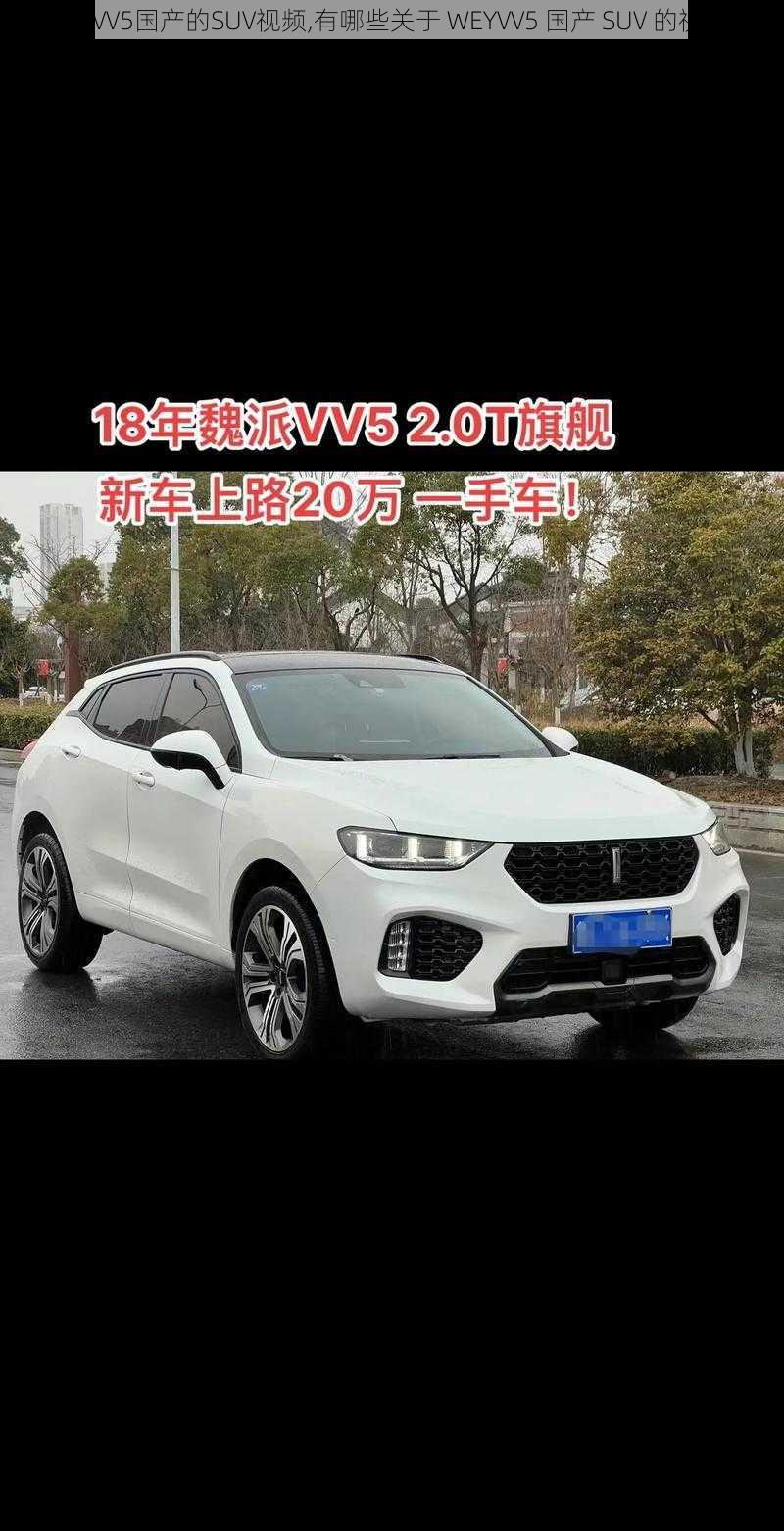 WEYVV5国产的SUV视频,有哪些关于 WEYVV5 国产 SUV 的视频？