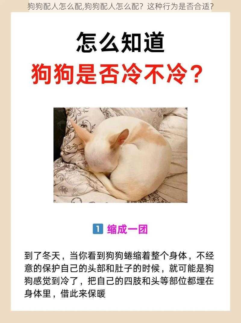 狗狗配人怎么配,狗狗配人怎么配？这种行为是否合适？