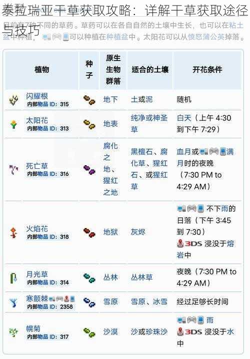 泰拉瑞亚干草获取攻略：详解干草获取途径与技巧