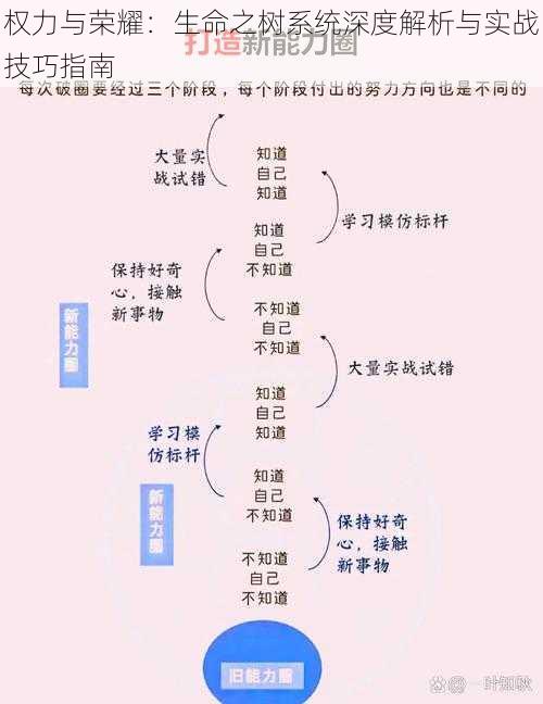 权力与荣耀：生命之树系统深度解析与实战技巧指南