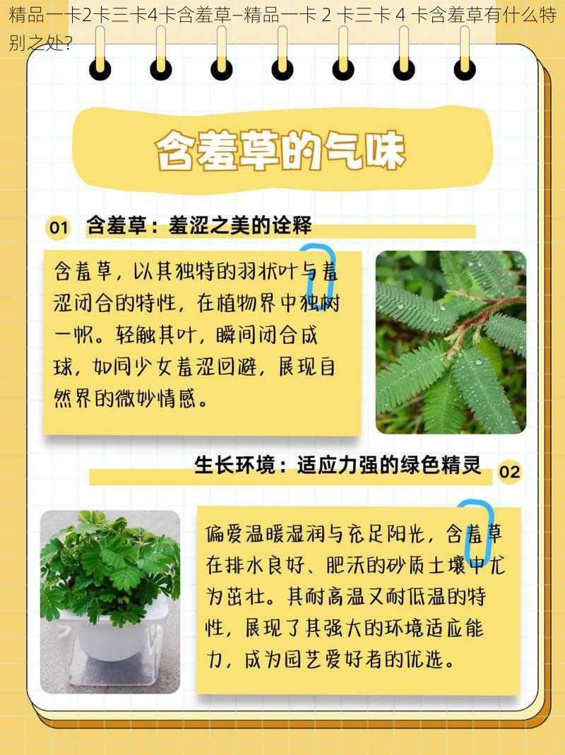 精品一卡2卡三卡4卡含羞草—精品一卡 2 卡三卡 4 卡含羞草有什么特别之处？