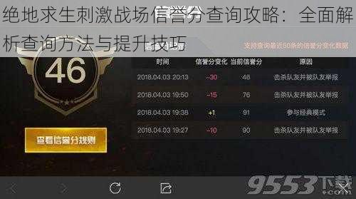 绝地求生刺激战场信誉分查询攻略：全面解析查询方法与提升技巧