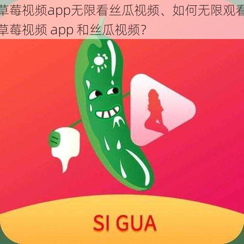 草莓视频app无限看丝瓜视频、如何无限观看草莓视频 app 和丝瓜视频？