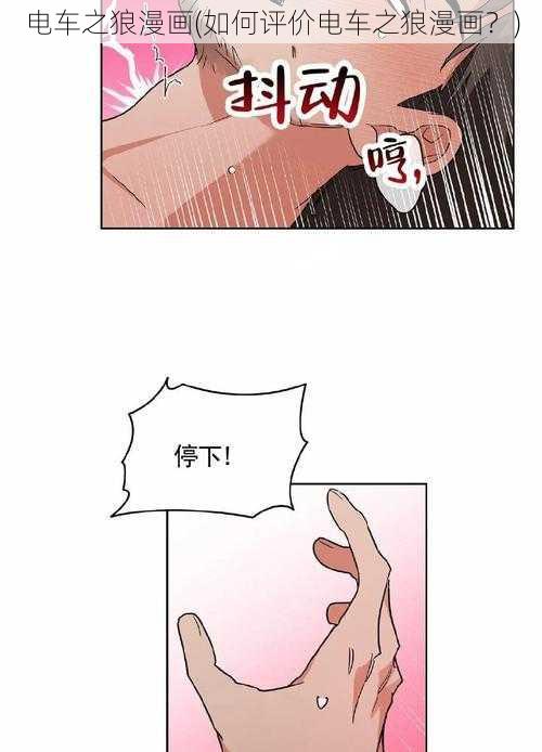 电车之狼漫画(如何评价电车之狼漫画？)