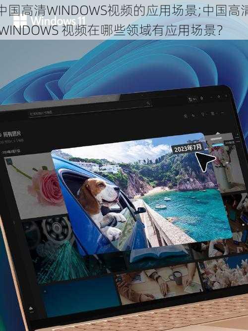 中国高清WINDOWS视频的应用场景;中国高清 WINDOWS 视频在哪些领域有应用场景？