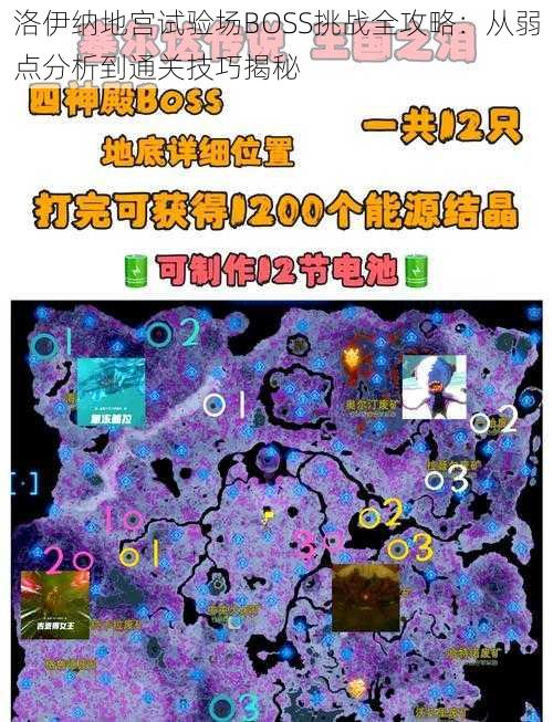 洛伊纳地宫试验场BOSS挑战全攻略：从弱点分析到通关技巧揭秘