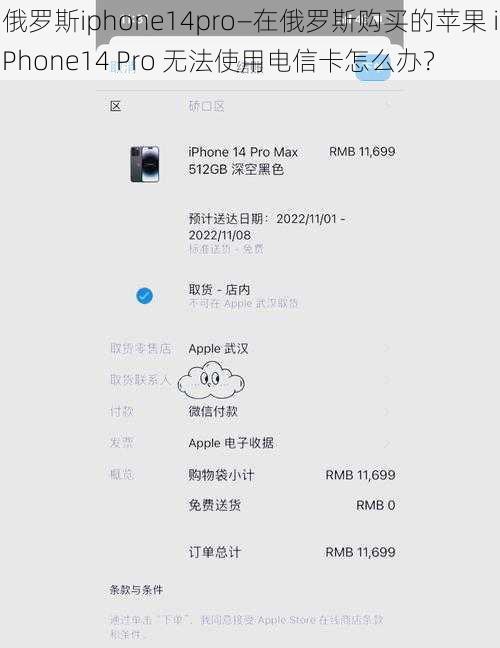 俄罗斯iphone14pro—在俄罗斯购买的苹果 iPhone14 Pro 无法使用电信卡怎么办？