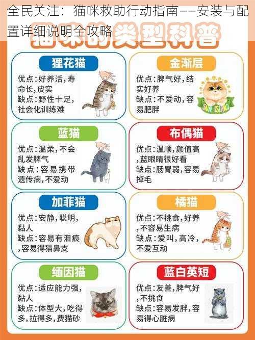 全民关注：猫咪救助行动指南——安装与配置详细说明全攻略