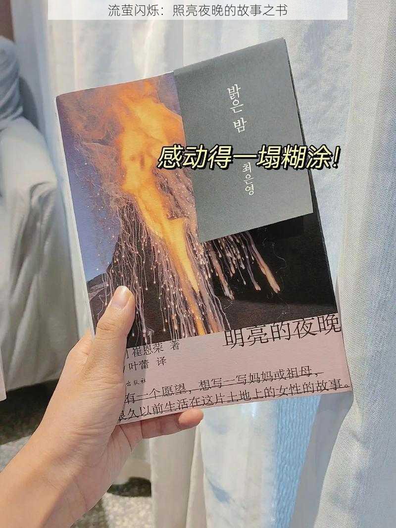 流萤闪烁：照亮夜晚的故事之书