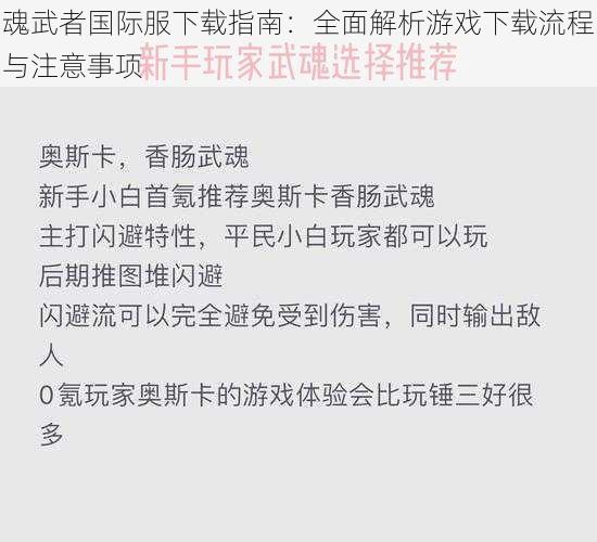 魂武者国际服下载指南：全面解析游戏下载流程与注意事项