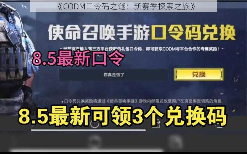 《CODM口令码之谜：新赛季探索之旅》