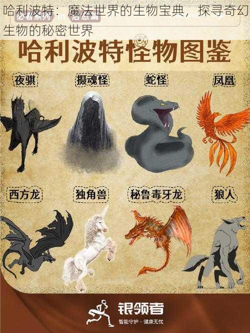 哈利波特：魔法世界的生物宝典，探寻奇幻生物的秘密世界