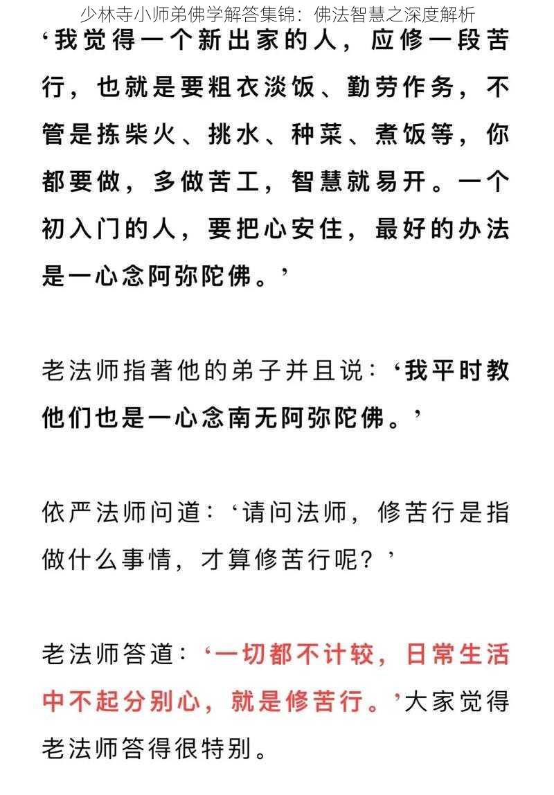 少林寺小师弟佛学解答集锦：佛法智慧之深度解析