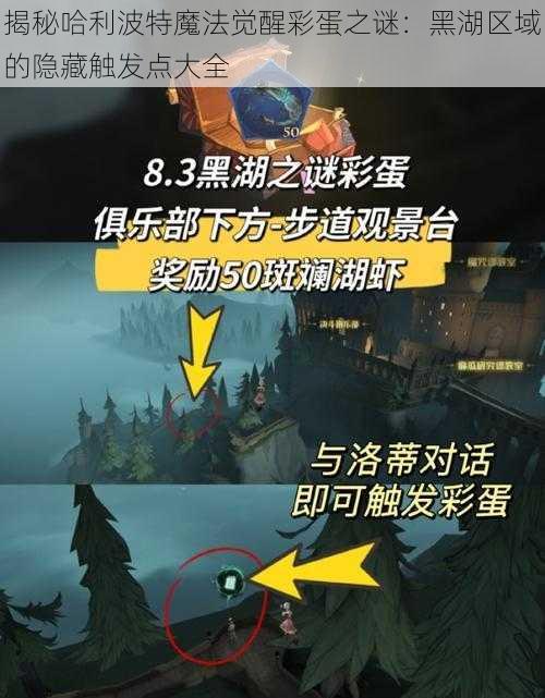 揭秘哈利波特魔法觉醒彩蛋之谜：黑湖区域的隐藏触发点大全