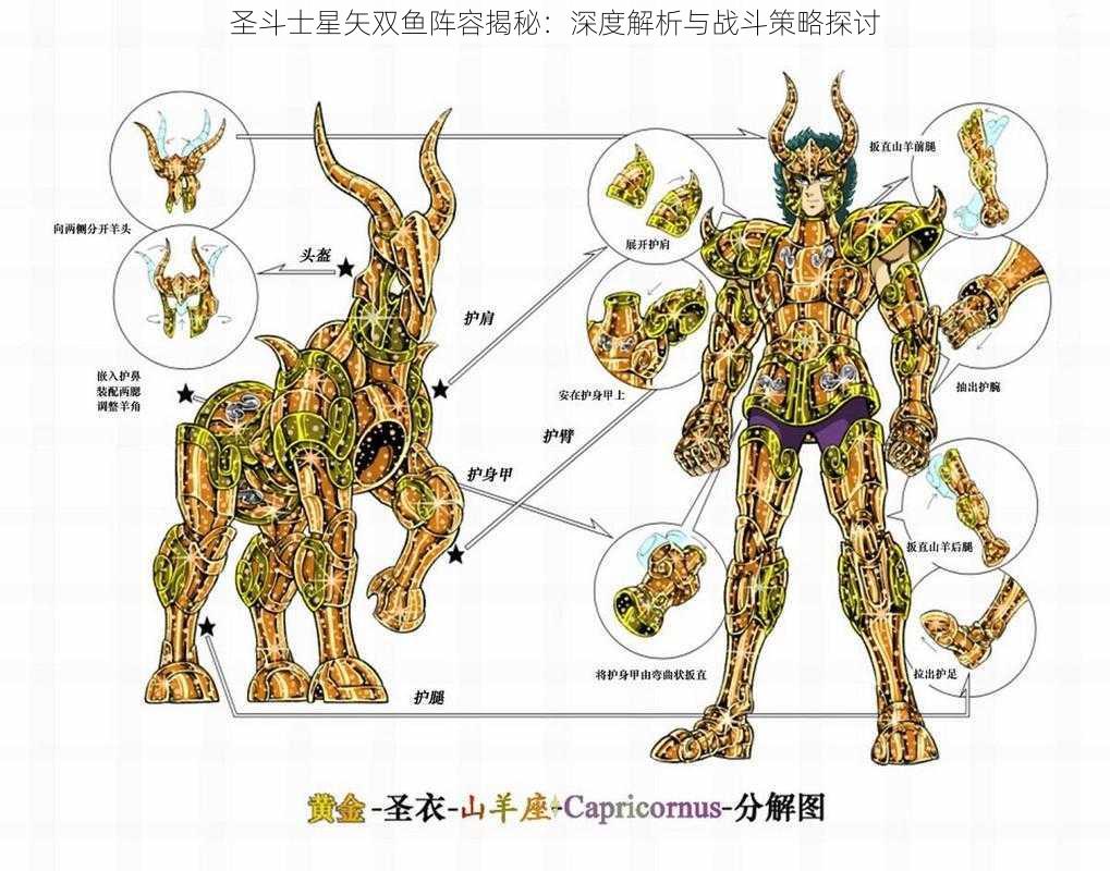 圣斗士星矢双鱼阵容揭秘：深度解析与战斗策略探讨