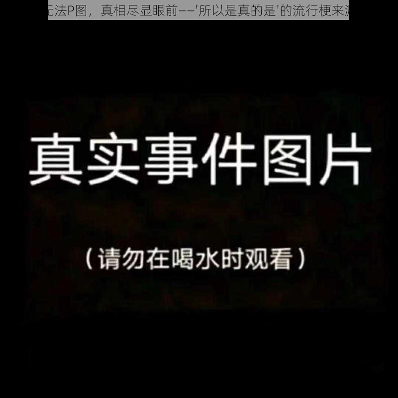 视频无法P图，真相尽显眼前——'所以是真的是'的流行梗来源解析