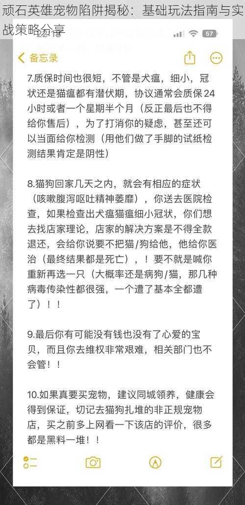 顽石英雄宠物陷阱揭秘：基础玩法指南与实战策略分享