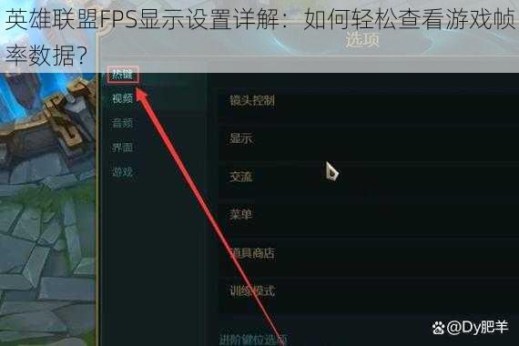 英雄联盟FPS显示设置详解：如何轻松查看游戏帧率数据？